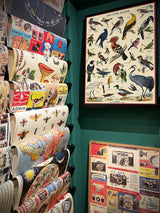 Paper Poster & Wrap 'Library Books' - Cavallini & Co