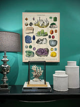 Paper Poster & Wrap 'Mineralogie' - Cavallini & Co