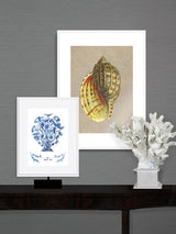 Láminas Decorativas de Arte 'Caracolas Naturales'