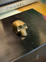 Decorative Box in Black Wood 'Skull'