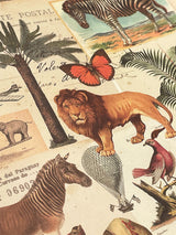 Wrapping Paper 'Le Cirque' - 100x70 cm