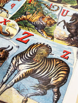 Wrapping Paper 'The Alphabet of Animals' - 70x50 cm