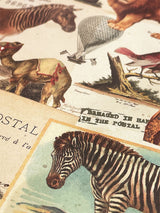 Wrapping Paper 'Le Cirque' - 100x70 cm