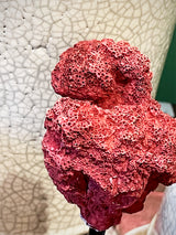 Réplica Decorativa 'Coral Rojo'