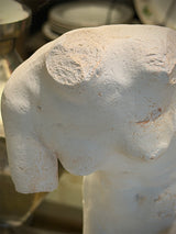 Busto Decorativo Clásico 'Harmony'