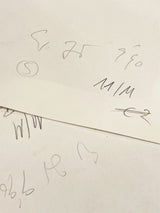 Original Drawings 'Micro-Macro' - 32x23,5 cm - Wolfang Luy