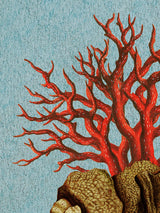 Láminas Decorativas 'Corales Rojos'