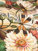 Wrapping Paper 'Water Lily' - 100x70 cm