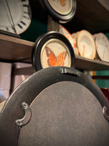 Lámina Decorativa 'Mariposa T. Clarissa Boisd.'