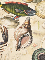 Wrapping Paper 'Ocean Life' - 100x70 cm