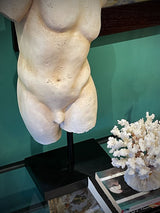 Busto Decorativo Clásico 'Béroé'