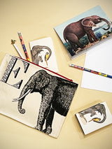 Pouch de Lino 'E de Elefante'