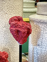 Réplica Decorativa 'Coral Rojo'