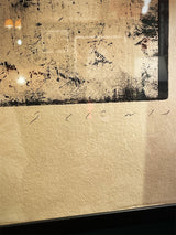 grabados-de-jaume-plensa-1987-prueba-de-autor-numerados