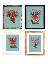 Láminas Decorativas 'Corales Rojos'