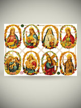 Hoja Cromos Alemanes 'Santos'