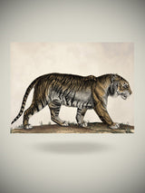 Individual de Vinilo 'Beaumont' - 33x45 cm