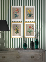 Láminas Decorativas 'Botánica'