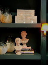 libreria-decorada-con-bustos-clasicos-y-jarrones