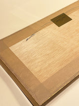 Cuadro Decorativo 'Serpiente' En Marco Vitrina