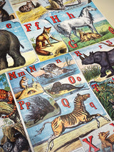 Wrapping Paper 'The Alphabet of Animals' - 70x50 cm