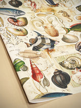 Wrapping Paper 'Ocean Life' - 100x70 cm