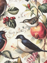 papel-envolver-bomo-art-botanica-con-pajaros