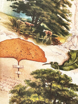 Wrapping Paper 'The Mysterious Life of Trees' - 100x70 cm