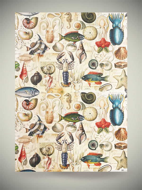 Papel Envoltorio 'Ocean Life' - 100x70 cm