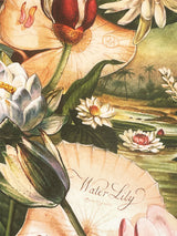 Wrapping Paper 'Water Lily' - 100x70 cm