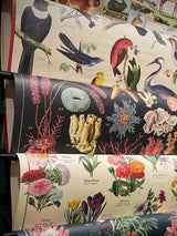 Papel Poster & Wrap 'Ocean Flora' - Cavallini & Co