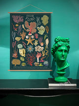 Papel Poster & Wrap 'Ocean Flora' - Cavallini & Co