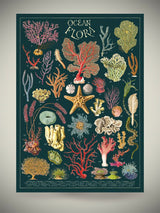 Papel Poster & Wrap 'Ocean Flora' - Cavallini & Co