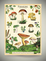 Papel Poster & Wrap 'Foraging' - Cavallini & Co