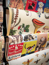 Papel Poster & Wrap 'Foraging' - Cavallini & Co