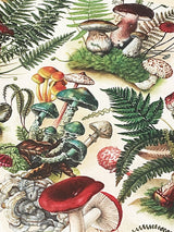 papeles-de-envolver-dibujo-con-setas