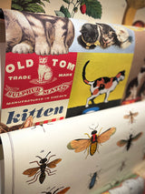 Papel Poster & Wrap 'Vintage Cats' - Cavallini & Co