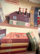 Paper Poster & Wrap 'Library Books' - Cavallini & Co