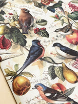 papeles-envoltorio-dibujos-de-pajaros-y-frutos