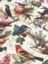 papeles-envolver-pajaros-y-frutos