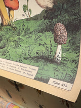 Papel Poster & Wrap 'Foraging' - Cavallini & Co