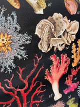 Papel Poster & Wrap 'Ocean Flora' - Cavallini & Co