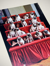 Postal de Felicitación 'Group Portrait, Pugs' - Neal Slavin 1994