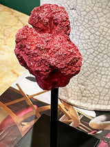 Réplica Decorativa 'Coral Rojo'