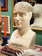 replicas-de-bustos-de-frenologia-para-decoracion