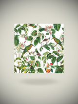 Pack de 20 Servilletas de Papel 'Mauritius' - 25x25 cm