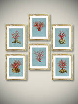 Láminas Decorativas 'Corales Rojos'