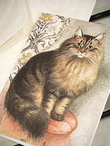 tarjeta-de-felicitacion-gato-maine-coon