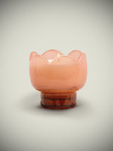 'Tulip' Candle 155 gms - Cactus Flower