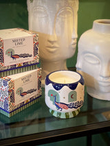 Vela A Dopo 'Misted Lime' - Diseño Pavo Real 8oz